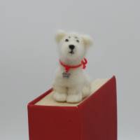 Lesezeichen Malteser - bewacht das Buch seiner Besitzer, witziges Lesezeichen für Hundefreunde Bild 1
