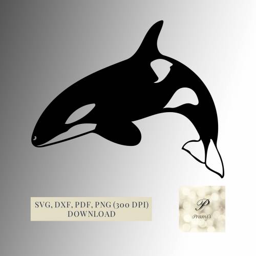 Plotterdatei Orka SVG Datei für Cricut, Killerwal Design  Digital Download für  Bastel- und Plotterprojekte