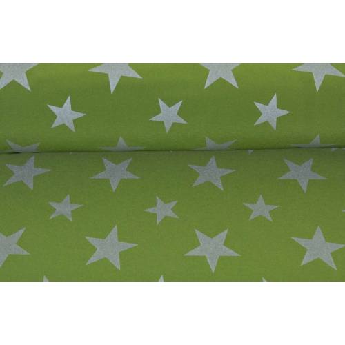 SOFTSHELL  silberne STERNE auf grünem Grund *  ab 0,5 m x 1,45 m breit * Matschhose selber nähen * Nähen für Kinder