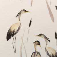 Mali Baumwolljersey Vögel, naturweiß Oeko-Tex Standard 100 (1m/15,-€) Bild 1