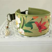 Windhundhalsband "Flora" grün Hundehalsband Halsband Zugstopp mit Polsterung aus Kunstleder und Schmuckquaste Bild 1