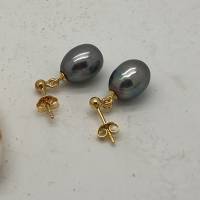 Schwarze Perlen Ohrhänger oval 9x11,5 mm baumeln, Haken 925er Silber vergoldet, Süßwasser- Perle Bild 1