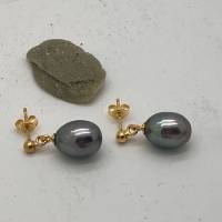 Schwarze Perlen Ohrhänger oval 9x11,5 mm baumeln, Haken 925er Silber vergoldet, Süßwasser- Perle Bild 4