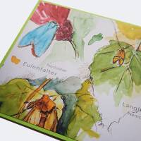 Postkarte Artenvielfalt handgezeichnet und aquarelliert "Falter" Bild 2