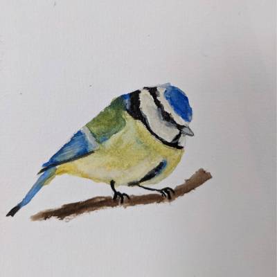 Postkarte Aquarell Bild Vogel Blaumeise