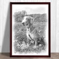 Haustierportrait Hund - Bleistiftzeichnung | personalisierbar mit Namen und Pfotenabdruck - Digitaldruck Tierportrait Bild 1