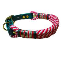Hundehalsband, verstellbar, rot, weiß, grün, gold, Biothane und Schnalle Bild 1