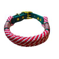 Hundehalsband, verstellbar, rot, weiß, grün, gold, Biothane und Schnalle Bild 4