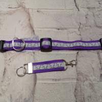Hundehalsband mit Schlüsselanhänger lila Anker grau Bild 1