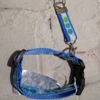 Hundehalsband mit Schlüsselanhänger blau Kleeblatt Bild 2