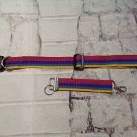 Hundehalsband mit Schlüsselanhänger Regenbogen Bild 1