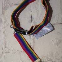 Hundehalsband mit Schlüsselanhänger Regenbogen Bild 2