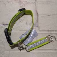 Hundehalsband mit Schlüsselanhänger grün Anker Bild 2