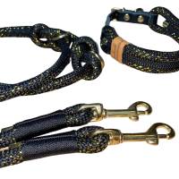 Hundeleine und Halsband Set, beides verstellbar, schwarz, gold, Leder und Schnalle, 10 mm Stärke Bild 3
