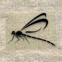 Bügelbild - Libelle - viele mögliche Farben Bild 1