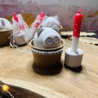 Glücksschwein mit Fliegenpilz-Kerze aus Raysin in einer Geschenkverpackung Bild 1