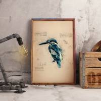 Kunstdruck Eisvogel, vintage, Poster A4, Wallart, Wandschmuck Bild 2