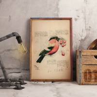 Kunstdruck Vogel Dompfaff, vintage, Poster A4, Wallart, Wandschmuck Bild 2