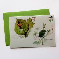 Postkarte Klappkarte Artenvielfalt gezeichnet und aquarelliert Bild 1