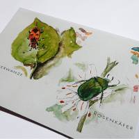 Postkarte Klappkarte Artenvielfalt gezeichnet und aquarelliert Bild 2