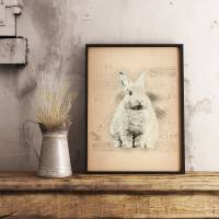 Kunstdruck weißer Hase, Kaninchen, vintage, Poster A4, Wallart, Wandschmuck Bild 1