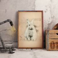 Kunstdruck weißer Hase, Kaninchen, vintage, Poster A4, Wallart, Wandschmuck Bild 2