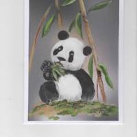 Grußkarte, Kindergeburtstag, Tierfreunde-  Pandakind-  handgemalt Bild 1