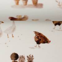 Baumwoll Jersey Animals  Hühner by Christiane Zielinski Bild 2