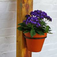 Topfhalter für Balkon oder Garten, Blumentopfhalter mit Eisenringen und Treibholz, Nachhaltige Blumenampel, Treibholz al Bild 1