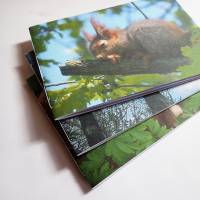 Drei handgebundene Hefte mit Naturmotiven "Frühling", DIN A6 mit Blankoseiten Bild 1