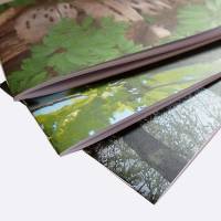 Drei handgebundene Hefte mit Naturmotiven "Frühling", DIN A6 mit Blankoseiten Bild 5