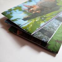 Drei handgebundene Hefte mit Naturmotiven "Frühling", DIN A6 mit Blankoseiten Bild 6
