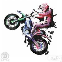 Biker Motocross Fahrer, Motiv für Jungs, Stickdatei Vollstick Bild 1