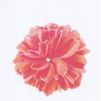 Bügelbild rote Blume für helle Stoffe zum aufbügeln ca. 7,5 x 7,5 cm matt auf Transferpapier bügel Bild Bild 1