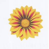 Bügelbild Ganzia gelb für helle Stoffe zum aufbügeln ca. 7,5 x 7,5 cm matt auf Transferpapier bügel Bild Bild 1