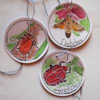 Girlande mit 11 runden Anhängern Motiv Insekten für mehr Artenvielfalt, gezeichnet und aquarelliert Bild 4