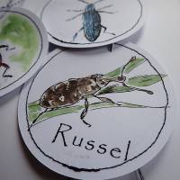 Girlande mit 11 runden Anhängern Motiv Insekten für mehr Artenvielfalt, gezeichnet und aquarelliert Bild 8