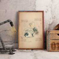 Kunstdruck Hase, Kaninchen, vintage, Poster A4, Wallart, Wandschmuck Bild 2