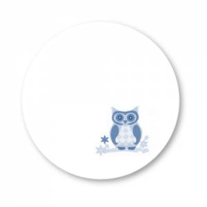 12 DIY Sticker zum Selbstbeschriften Eule blau Meilenstein Baby blanko Bild 1