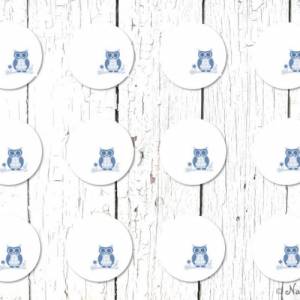12 DIY Sticker zum Selbstbeschriften Eule blau Meilenstein Baby blanko Bild 2