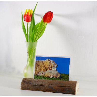Fotohalter, Geschenk, Postkartenständer, Kartenhalter, Treibholz, für Fotos, Fotoständer, wohnen, Deko, Geburtstagsges