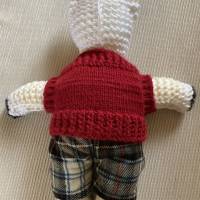 Hübscher, kleiner Bär sucht ein neues Zuhause, Bär mit rotem Pullover und karierter Hose, Bär handgestrickt Bild 4