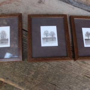 3 kleine Baum Drucke im Holzrahmen Diga Bildkunst 70er 80er Jahre Bild 1