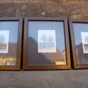 3 kleine Baum Drucke im Holzrahmen Diga Bildkunst 70er 80er Jahre Bild 2
