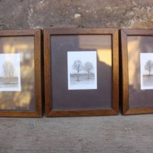 3 kleine Baum Drucke im Holzrahmen Diga Bildkunst 70er 80er Jahre Bild 3