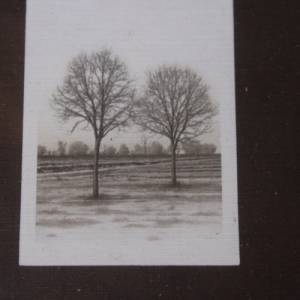 3 kleine Baum Drucke im Holzrahmen Diga Bildkunst 70er 80er Jahre Bild 5