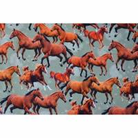 Jersey mit Pferden Pferde 50 x 150 cm Nähen Stoff Pferdeherde Digitaldruck Bild 1