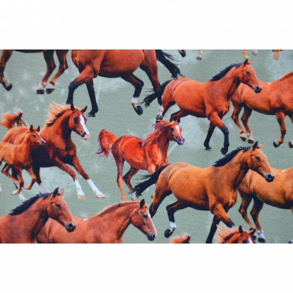 Baumwolljersey Stoffe Mit Pferden Jersey Mit Pferden Pferde 50 X