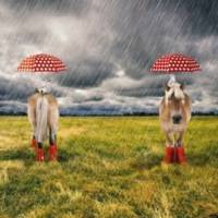 Jersey Panel Pferd mit roten Gummistiefeln und Regenschirm Stenzo Digitaldruck 120 x 150 cm Bild 1