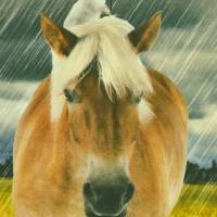 Jersey Panel Pferd mit roten Gummistiefeln und Regenschirm Stenzo Digitaldruck 120 x 150 cm Bild 4